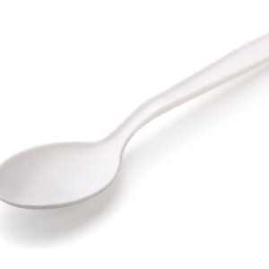 Plastic Spoon